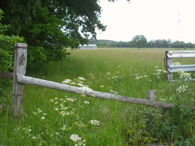 2014hwk 079.jpg